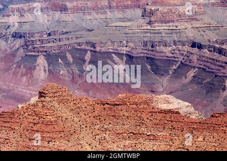 Arizona, États-Unis - juin 2008; Desert View est situé à plus de 20 miles à l'est de la principale zone développée du Grand Canyon Village, vers l'est en Banque D'Images