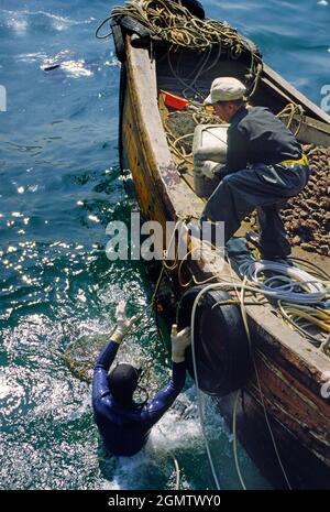 Hong Kong - 1985 ; vous ne m'attraperez pas (ha !) manger ces, si vous saviez ce qui était dans les eaux par la pollution, les toxiques, les produits chimiques, micro-organe Banque D'Images