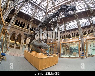 Oxford, Angleterre - 2014; le musée Pitt Rivers est un musée présentant les collections archéologiques et anthropologiques de l'Université d'Oxford. Banque D'Images