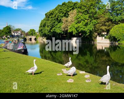 Abingdon, Angleterre - 20 mai 2020; pas de personnes en vue. Abingdon-on-Thames est la plus ancienne ville d'Angleterre. Ici, nous voyons la vue de la Tamise Banque D'Images