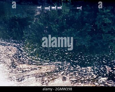 St Helens Wharf, Abingdon, Angleterre - 24 juin 2020 ; personne en vue. Le quai de Saint Helen est un endroit de beauté réputé sur la Tamise, juste en amont Banque D'Images