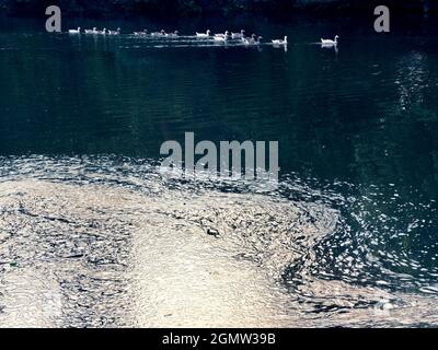 St Helens Wharf, Abingdon, Angleterre - 24 juin 2020 ; personne en vue. Le quai de Saint Helen est un endroit de beauté réputé sur la Tamise, juste en amont Banque D'Images