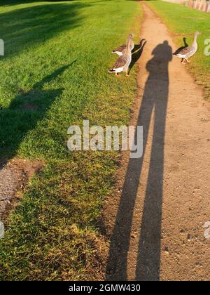 Abingdon, Angleterre - 21 avril 2020; pas de personnes en vue. Il y a une belle vue de cette partie de la rive de la Tamise à Abingdon; si vous regardez, vous pouvez Banque D'Images