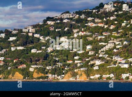 Wellington, Nouvelle-Zélande - 16 mai 2012 les maisons se regroupent sur l'un des nombreux quartiers résidentiels à flanc de colline autour de la capitale de la Nouvelle-Zélande, Wellington. TH Banque D'Images