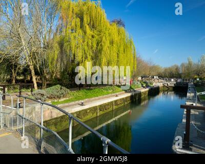 Iffley, Oxfordshire - Angleterre - 1er avril 2019 ; la passerelle Thames Path est une route très fréquentée par les cyclistes, les joggeurs et les propriétaires de chiens - sans parler Banque D'Images