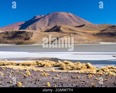 Potosi , Bolivie - 24 mai 2018 Laguna Hediona est un joli lac salé haut (4100m) dans l'altiplano du Sud-Ouest de la Bolivie. Malheureusement, son na Banque D'Images