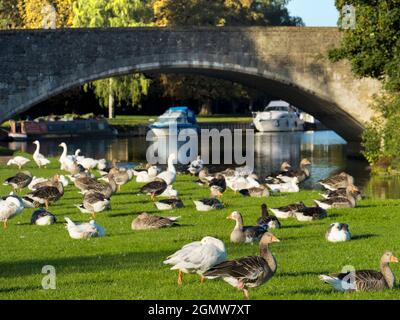 Abingdon, Angleterre - 5 septembre 2020; pas de personnes en vue. Abingdon prétend être la plus ancienne ville d'Angleterre. C'est sa fameuse bridg de pierre médiévale Banque D'Images