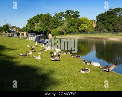 Abingdon, Angleterre - 20 mai 2020; pas de personnes en vue. Abingdon-on-Thames est la plus ancienne ville d'Angleterre. Ici, nous voyons la vue de la Tamise Banque D'Images