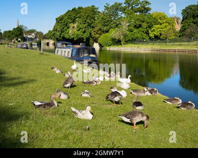 Abingdon, Angleterre - 20 mai 2020; pas de personnes en vue. Abingdon-on-Thames est la plus ancienne ville d'Angleterre. Ici, nous voyons la vue de la Tamise Banque D'Images