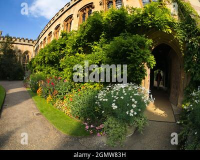 Fondé en 1263, Balliol est l'un des plus anciens collèges universitaires d'Oxford. Ses anciens élèves comprennent trois premiers ministres, cinq lauréats du prix Nobel et un Banque D'Images