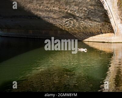 Abingdon, Angleterre - 20 mai 2020; pas de personnes en vue. Abingdon prétend être la plus ancienne ville d'Angleterre. C'est son célèbre pont de pierre médiéval, on Banque D'Images