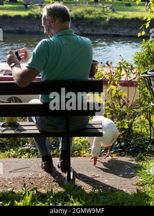 Abingdon, Angleterre - 13 septembre 2020 ; une personne en balle, vue de derrière. Voici maintenant une scène confortable et typiquement anglaise - un homme reposant Banque D'Images