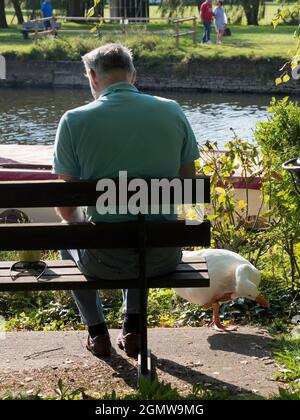 Abingdon, Angleterre - 13 septembre 2020 ; une personne en balle, vue de derrière. Voici maintenant une scène confortable et typiquement anglaise - un homme reposant Banque D'Images