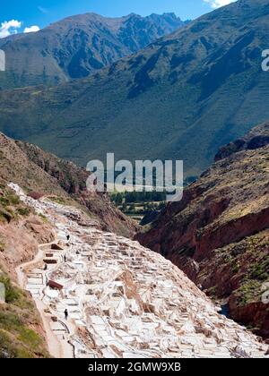 Maras, Pérou - 12 mai 2018 depuis l'Empire des Incas, les mines de sel de Maras sont continuellement exploitées depuis de nombreux siècles. Ces spectaculaires évaporativ Banque D'Images