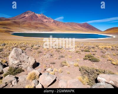 Altiplano bolivien - 26 mai 2018 situé dans l'altiplano chilien, près du Chili, Laguna Miniques et Miscanti sont deux des plus beau d'Amérique du Sud Banque D'Images