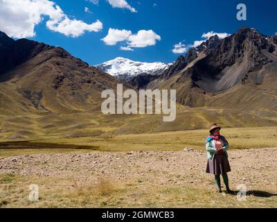 Puno, Pérou - 18 mai 2018; une vieille femme en vue D'une vue majestueuse sur les Andes péruviennes, vue depuis le haut col de Puno les Desea Feliz Viaje High; t Banque D'Images