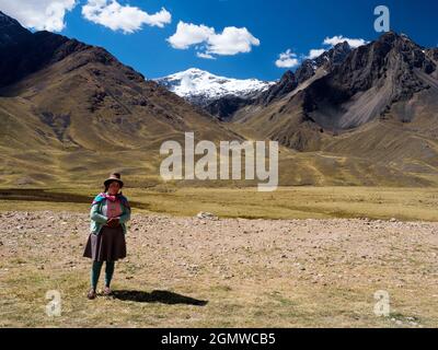 Puno, Pérou - 18 mai 2018; une vieille femme en vue D'une vue majestueuse sur les Andes péruviennes, vue depuis le haut col de Puno les Desea Feliz Viaje High; t Banque D'Images