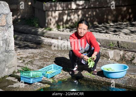Lijiang, Yunnan Chine - 25 octobre 2006; une vieille femme en vue, laver des légumes dans un canal. La vieille ville de Lijiang est un site classé au patrimoine mondial de l'UNESCO Banque D'Images