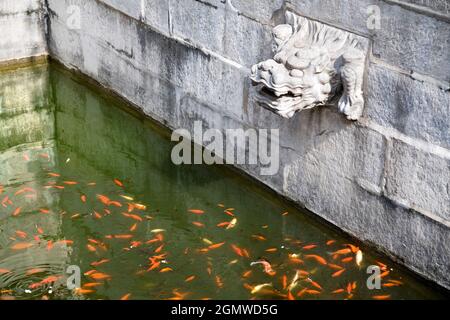 Beijing, Chine - 17 octobre 2006; pas de personnes en vue. Au coeur de Pékin se trouve la Cité interdite - le Palais impérial et le siège de l'Empero Banque D'Images