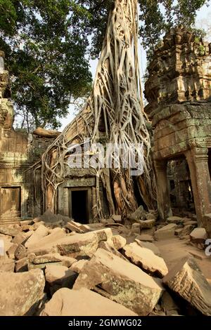 Preah Khan, Cambodge - 19 janvier 2005 Le triomphe de la culture khmère médiévale, les trésors d'Angkor Wat et d'Angkor Thom au Cambodge sont incomparables Banque D'Images