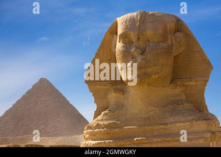 Le Caire, Egypte - 7 décembre 2010; Un sphinx est une créature mythique avec la tête d'un homme et le corps d'un lion. La représentation la plus célèbre de ce c Banque D'Images