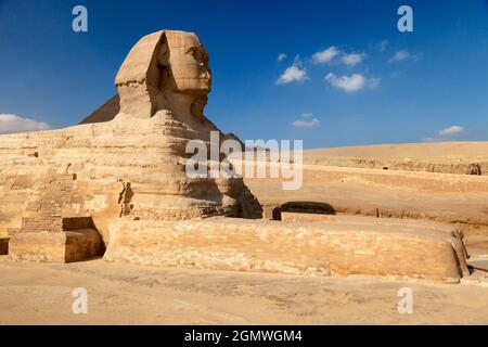 Le Caire, Egypte - 7 décembre 2010; Un sphinx est une créature mythique avec la tête d'un homme et le corps d'un lion. La représentation la plus célèbre de ce c Banque D'Images