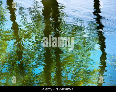 Oxford, Angleterre - 21 mai 2019 nous voyons ici le reflet des troncs d'arbres dans la rivière Cherwell et il passe près des jardins botaniques d'Oxford. Vous Banque D'Images