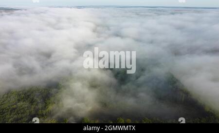 Épais brouillard matinal d'automne sur la forêt verte. Vol de drone le matin sur des paysages naturels Banque D'Images