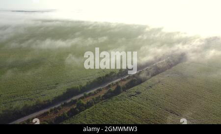 Brouillard matinal, vue depuis une hauteur sur la route à travers les champs Banque D'Images