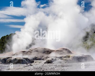 Rotorua, Nouvelle-Zélande - 1er mars 2019 ; Rotorua, dans l'île du Nord de la Nouvelle-Zélande, est une zone étendue remplie d'évents géothermiques, de sources de boue bouillonnante, su Banque D'Images