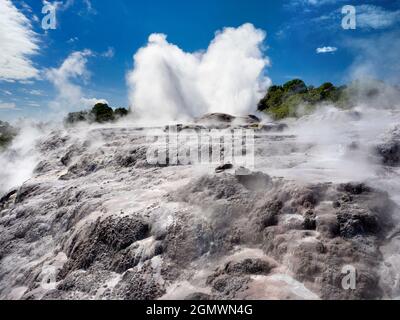 Rotorua, Nouvelle-Zélande - 1er mars 2019 ; Rotorua, dans l'île du Nord de la Nouvelle-Zélande, est une zone étendue remplie d'évents géothermiques, de sources de boue bouillonnante, su Banque D'Images