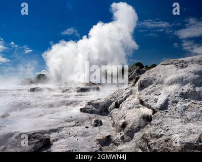 Rotorua, Nouvelle-Zélande - 1er mars 2019 ; Rotorua, dans l'île du Nord de la Nouvelle-Zélande, est une zone étendue remplie d'évents géothermiques, de sources de boue bouillonnante, su Banque D'Images