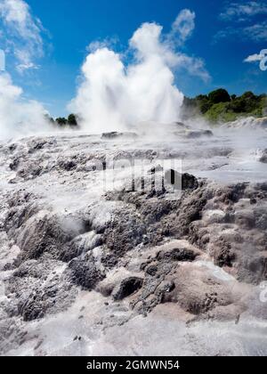 Rotorua, Nouvelle-Zélande - 1er mars 2019 ; Rotorua, dans l'île du Nord de la Nouvelle-Zélande, est une zone étendue remplie d'évents géothermiques, de sources de boue bouillonnante, su Banque D'Images