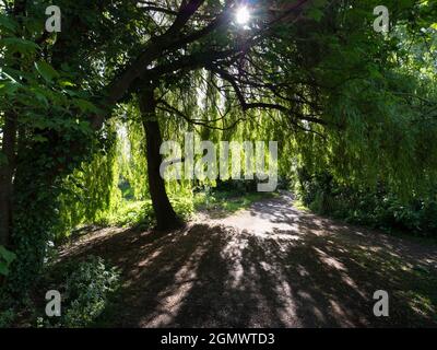 Abingdon, Angleterre - 4 mai 2019 ; ce magnifique sentier passe par Abbey Fields, à Abingdon, en Angleterre. Nommé d'après l'abbaye médiévale qui était autrefois Banque D'Images