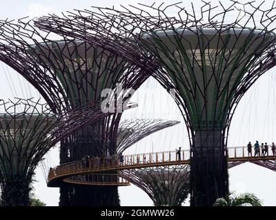 Gardens by the Bay, Singapour - 3 - 5 mars 2019 Singapour aspire à être la ville la plus verte du monde, elle semble réussir. Bien sûr, le climat h Banque D'Images