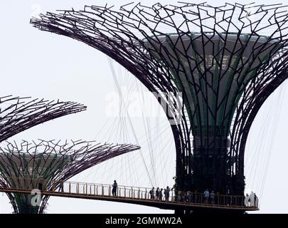 Gardens by the Bay, Singapour - 3 - 5 mars 2019 Singapour aspire à être la ville la plus verte du monde, elle semble réussir. Bien sûr, le climat h Banque D'Images