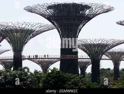 Gardens by the Bay, Singapour - 3 - 5 mars 2019 Singapour aspire à être la ville la plus verte du monde, elle semble réussir. Bien sûr, le climat h Banque D'Images