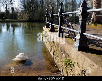 Abingdon, Angleterre - 16 mars 2020; pas de personnes en vue. Le quai de Saint Helen est un point de beauté réputé sur la Tamise, juste en amont du quartier médiéval Banque D'Images