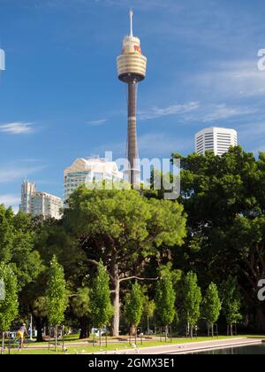 Sydney, Australie - 16 février 2019 ; un homme, cyclisme. La Tour de Sydney est la plus grande structure de Sydney et la deuxième plus grande tour d'observation du S Banque D'Images