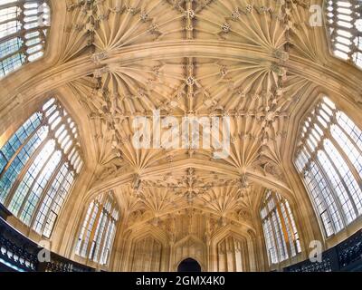 Oxford, Angleterre - 2017; à l'intérieur de l'école de divinité de la bibliothèque Bodleian de l'Université d'Oxford, Angleterre. Cette célèbre chambre médiévale est ornée d'un Banque D'Images