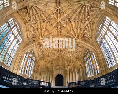 Oxford, Angleterre - 2017; à l'intérieur de l'école de divinité de la bibliothèque Bodleian de l'Université d'Oxford, Angleterre. Cette célèbre chambre médiévale est ornée d'un Banque D'Images