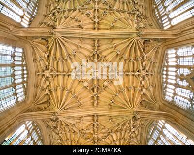 Oxford, Angleterre - 2017; à l'intérieur de l'école de divinité de la bibliothèque Bodleian de l'Université d'Oxford, Angleterre. Cette célèbre chambre médiévale est ornée d'un Banque D'Images