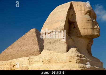 Le Caire, Egypte - 7 décembre 2010; Un sphinx est une créature mythique avec la tête d'un homme et le corps d'un lion. La représentation la plus célèbre de ce c Banque D'Images