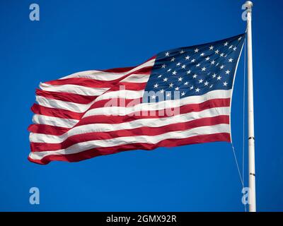 Boston, Mass - novembre 2013 ; OK, c'est un drapeau américain - Old Glory, Stars and Stripes, tout ce que vous voulez appeler. Mais il vole dans un particulier Banque D'Images