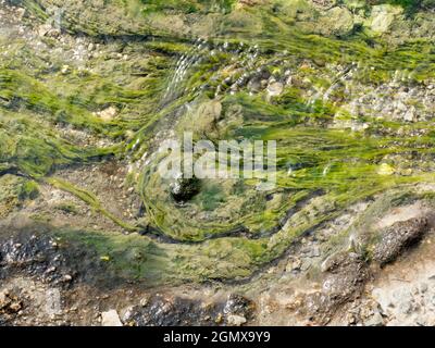 Rotorua, Nouvelle-Zélande - 1er mars 2019 ; la zone thermale de Waiotapu à Rotorua, dans l'île du Nord de la Nouvelle-Zélande, est une zone étendue remplie d'évents géothermiques, Banque D'Images