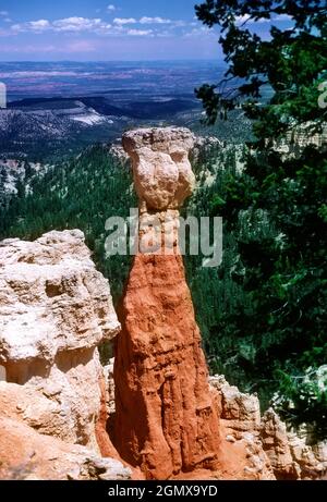 Utah, États-Unis - juin 2008 ; le parc national de Bryce Canyon est situé dans le sud-ouest de l'Utah, aux États-Unis. Son aspect exceptionnel et son spectacle visuel Banque D'Images