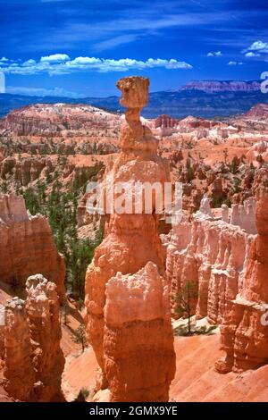 Utah, États-Unis - juin 2008 ; le parc national de Bryce Canyon est situé dans le sud-ouest de l'Utah, aux États-Unis. Son aspect exceptionnel et son spectacle visuel Banque D'Images