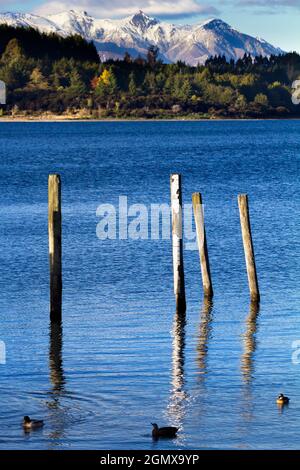 Lac te Anau, Nouvelle-Zélande - 21 mai 2012 montagnes et forêts d'automne vues du lac te Anau dans l'île du Sud de la Nouvelle-Zélande. Le lac te Anau est en t Banque D'Images