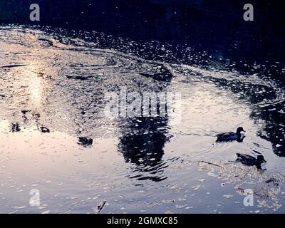 St Helens Wharf, Abingdon, Angleterre - 24 juin 2020 ; personne en vue. Le quai de Saint Helen est un endroit de beauté réputé sur la Tamise, juste en amont Banque D'Images