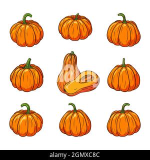 Collection de citrouilles fraîches et mûres. Ensemble d'illustrations de citrouille pour la conception et la décoration d'autocollants, de tirages, d'invitations, de menus et de cartes de vœux. Vecteur Premium Illustration de Vecteur